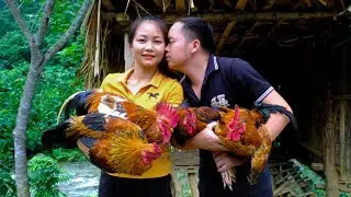 Kind wife: Help Duong harvesting Chickens from the farm go to the market sell.