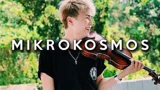 BTS - Mikrokosmos VIOLIN COVER