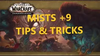 +9 Mists of Tirna Scithe! | Full Dungeon - Tips & Tricks!