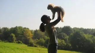 when owning a dog becomes mundane (a short film)