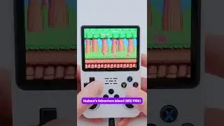 🎮  Hudson's Adventure Island 