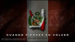Pedro Suárez-Vértiz - Cuando Pienses En Volver x Avicii - Waiting For Love (KSHMR Mashup)