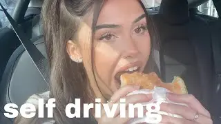 letting my tesla decide what i eat for 24 hours