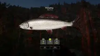 RF4 - [Belaya River] Active Spots (12.06.23)