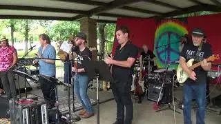 The Grass Roots - I'd Wait a Million Years - Neighborhood Picnic Band 2019