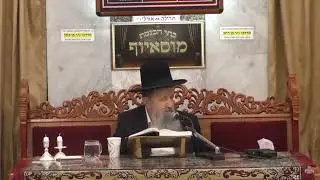 פרשת לך לך | הרב בן ציון מוצפי