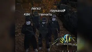 Обучение для танка | Как легко затанчить паукана? | stay out