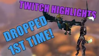 Clutch of Ha-Li drops on the first try?! | Twitch Highlights (BFA 8.3)