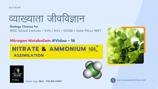 NITRATE & AMMONIUM ASSIMILATION | Nitrogen Metabolism in Plants | GS-GOAGAT System