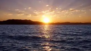 Dub Fx  -  Love me or not