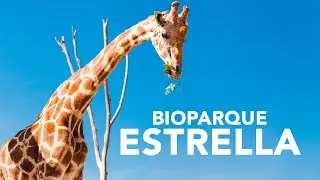 Bioparque Estrella, donde los animales viven libres | Monterrey #6 - Eduardo de la Rosa