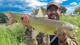 I Caught and Cooked An Unforgettable Lunch Out Of Wild Fish! Easy Carp Recipe In Nature