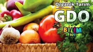 ORGANİK TARIM ve GDO