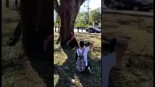 Vivência Primeira edição