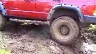 Leo's Rollover