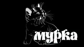 МУРКА2