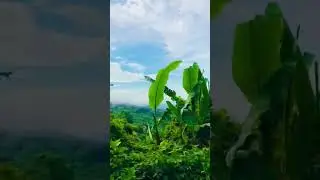 পাহাড়ে ওঠার সময় 🌺🌺 বান্দর বন 🌺 #rashedul