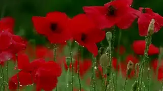 Mantra of love and happiness: a powerful way to attract a mate