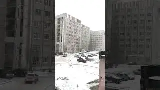 Сургут, Маяковского. #сургут #западнаясибирь #осень