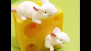 Antistress toys | Mice and Cheese