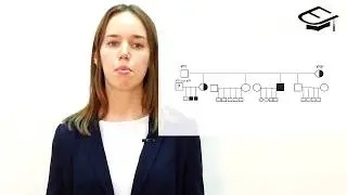 ЕГЭ по биологии. Генетика и решение типовых задач