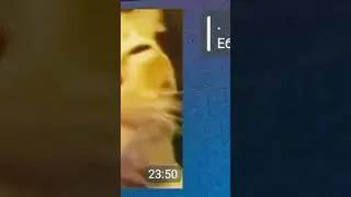жестко