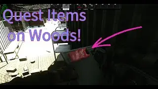 Woods may be the best place for early quest items in Escape From Tarkov!