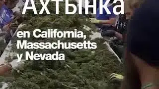 Buni xamma bilsa kerak