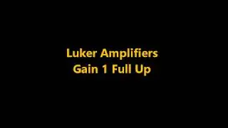 Luker Chameleon 40 watt Combo Gain 1