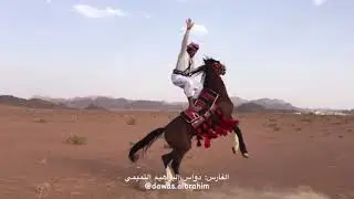 Арабский Скакун