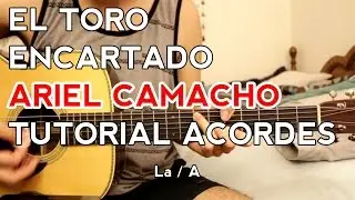 Toro Encartado - Ariel Camacho - Tutorial - Chords - How to play on Guitar