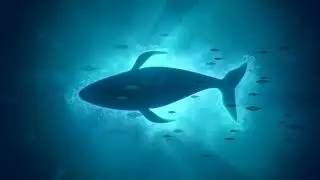 30 minutes of looping background, screensaver. Whale and fish in the deep blue ocean.