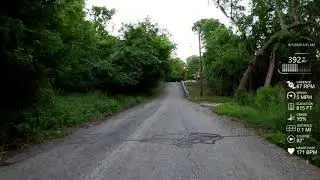 Ferndale - 46%!?