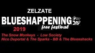 Zelzate Blueshappening 2019 (10 Augustus)