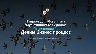 4: Делим бизнес процесс (Виджет для Мегаплана 