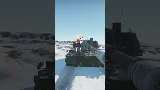 POV: You are Playing The VIDAR