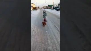 Весело зимой.