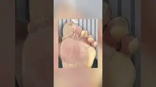 Asmr Remove Planter Animation 