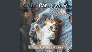 Purr-spective Dreams: Lofi Bliss (feat. RelaxMyCat & Cat Music Experience)