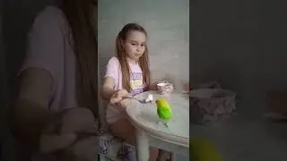 Полдник с попугаем Гришей. С вас лайк👍 и подписка🙏