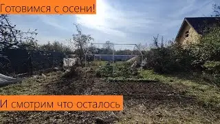 Сентябрь 2024. Обзор дачи. Подготовка к весне начинается осенью!
