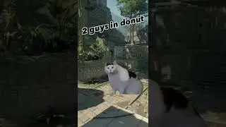 huh? any tips for this map? #shorts #pcgamer #grinchtiktok #counterstrike #cs2 #gamer #funny #meme