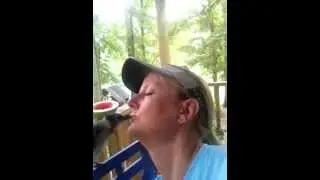Blue Jay Kisses