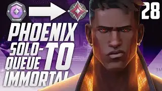 PHOENIX TO IMMORTAL Episode 28 