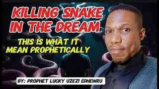 What Does Killing Snakes in Your Dreams REALLY Mean?
