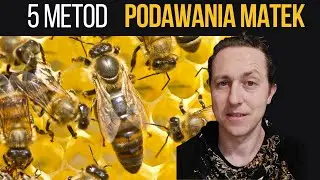 5 metod podawania matek