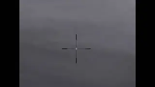 Охота на волка Беларусь