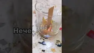 4 августа 2024 г.