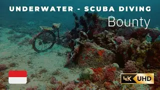 Bounty Underwater, Scuba Diving in Indonesia