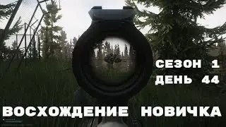 Тарков. Прокачка с нуля. "Восхождение новичка". 1 сезон. День 44. Escape from Tarkov